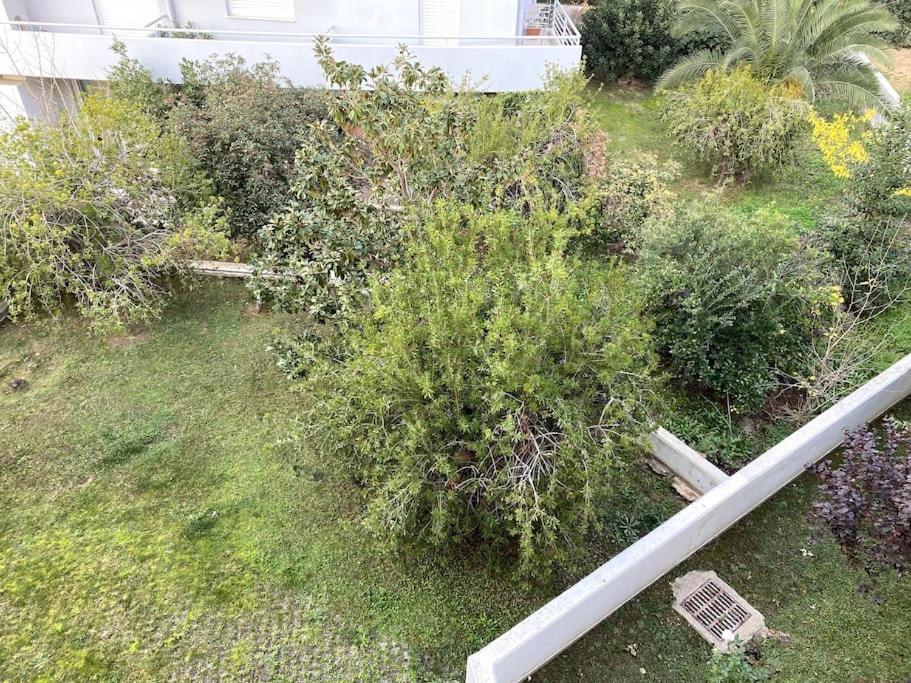 Spacious And Sunkissed 3Br & 2 Bathrooms Apartment Ateny Zewnętrze zdjęcie